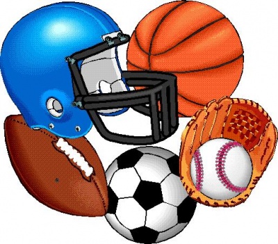Team sports  icon
